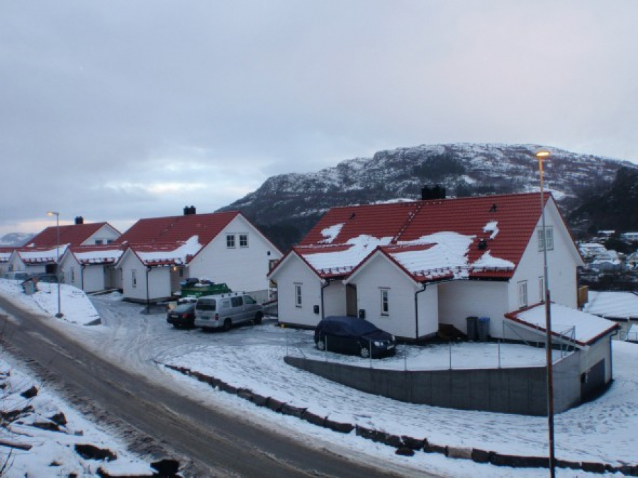 Omtegnet Frodig - Nyborg